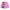 Pink Bandana Mesh shorts